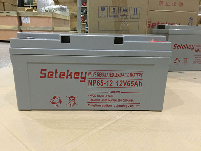 Setekey免维护铅酸电池